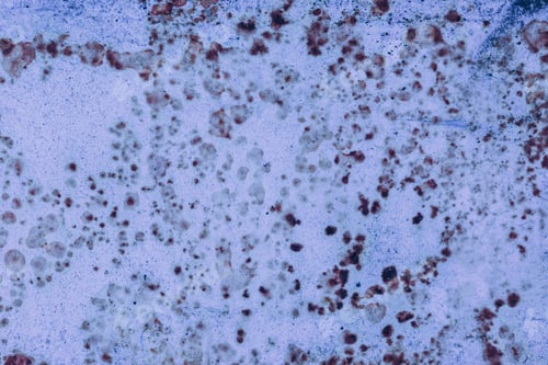 Preview: Background Corrosion. Rusty Spots On The Metal Sheet, The Impact Of Atmospheric Precipitation