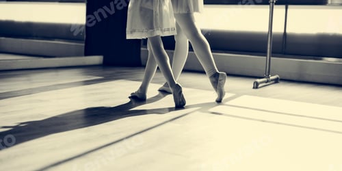 Preview: Ballet Dancer Training School Concept
