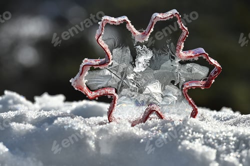 Preview: Ice crystals forming snowflake shaped bubble due to extreme cold winter temperatures