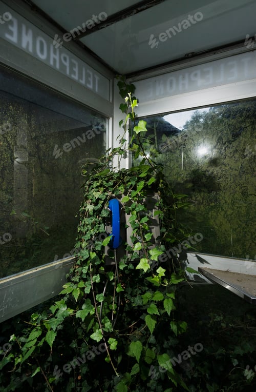 Preview: A public pay phone booth is overgrown with hedera but is still functioning