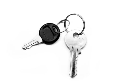 Silver and Black Keys on a White Background