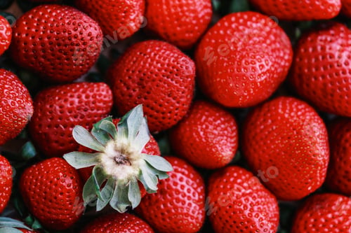 Preview: Top view of a box of red strawberries.