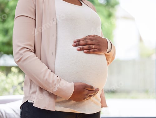Preview: Cropped shot of an unrecognizable mother to be standing in her living room at home