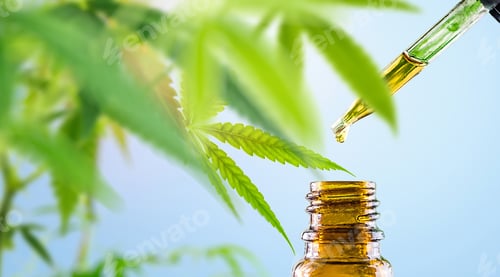Preview: Cannabis CBD oil in eyedroper