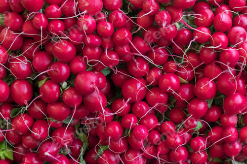 Preview: Radishes