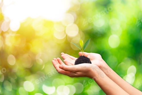 Preview: Hand holding young plant against green nature leaves background, Ecology and Environment concept
