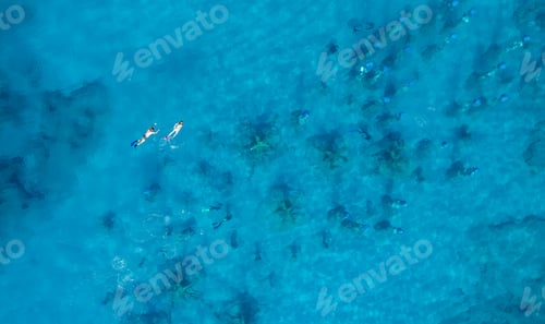 Preview: Group of divers snorkelling on sea surface above statue underwater museum.