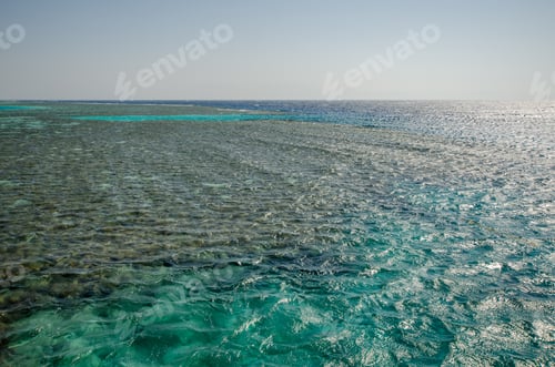 Preview: Vast Red Sea view with sunlit surface and clear waters