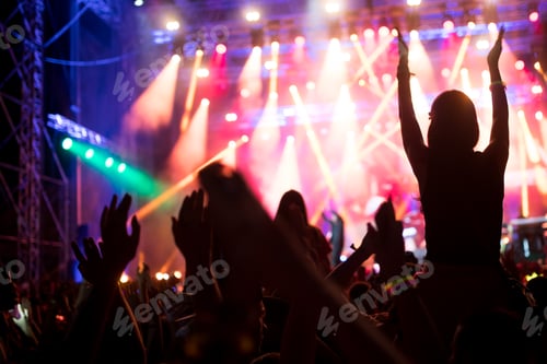 Vorschau: Porträt eines glücklichen Publikums, das ein Musikfestival genießt