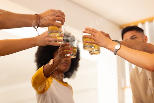 Preview: Toasting with drinks, diverse friends celebrating together in casual setting