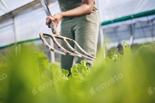 Preview: Pitchfork, farming and plants for ground, soil or working dirt for growth, irrigation or developmen