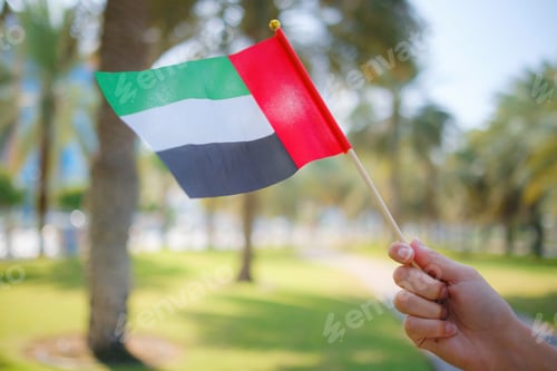 Preview: female hand holding tiny flag of UAE