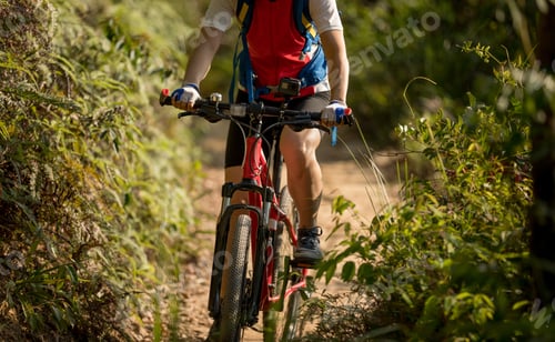 Preview: Mountain biking in the forest