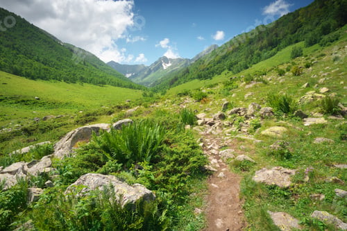 Preview: Beautiful summer landscape in mountain.
