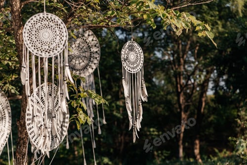 Preview: White dream catchers with feathers hanging on a tree in the rays of the sun.