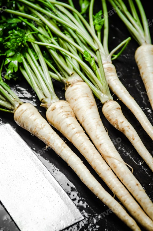 Preview: Fresh parsley root .