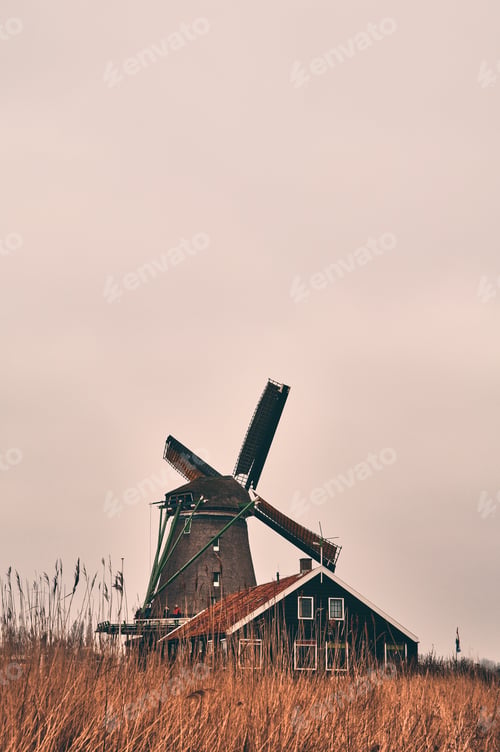 Preview: Vertical shot of Zaanse-Schans mill