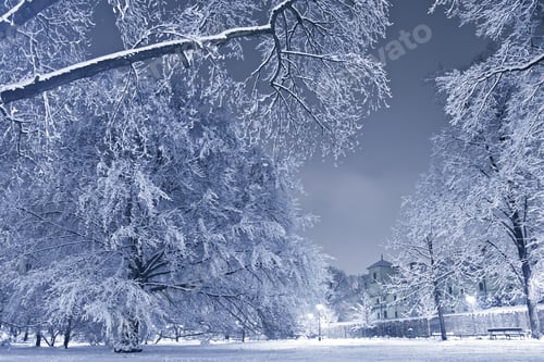 Preview: Winter Scenery