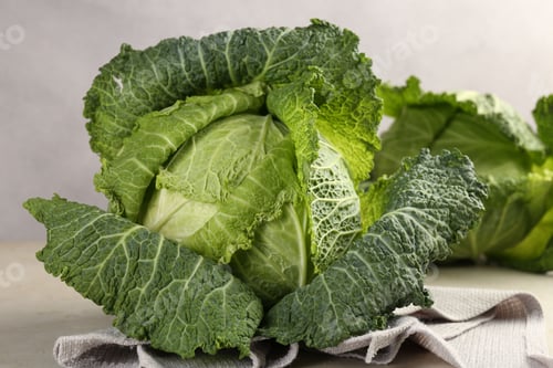 Preview: Fresh Savoy cabbages on light grey table, closeup