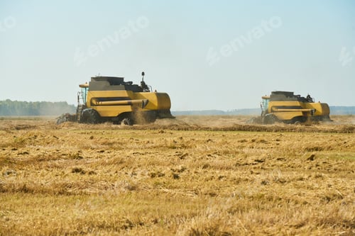 Preview: Two Agricultural Harvesters Operating in Field during Sunny Summer Day