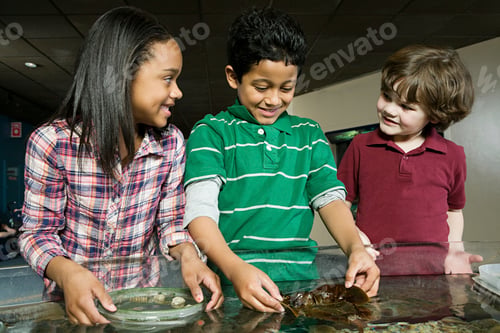 Preview: Three friends at aquarium, boy holding seaweed