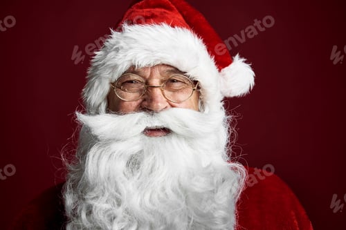 Preview: Portrait of smiling Santa Claus