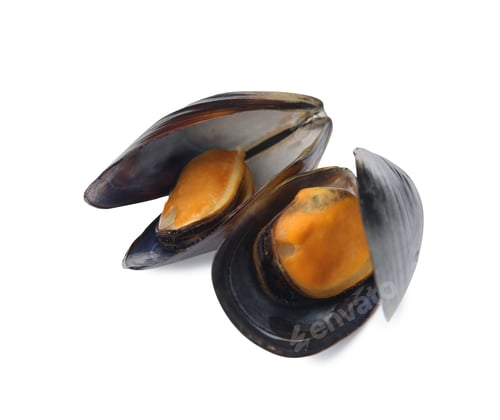 Preview: Delicious cooked mussels in shells on white background