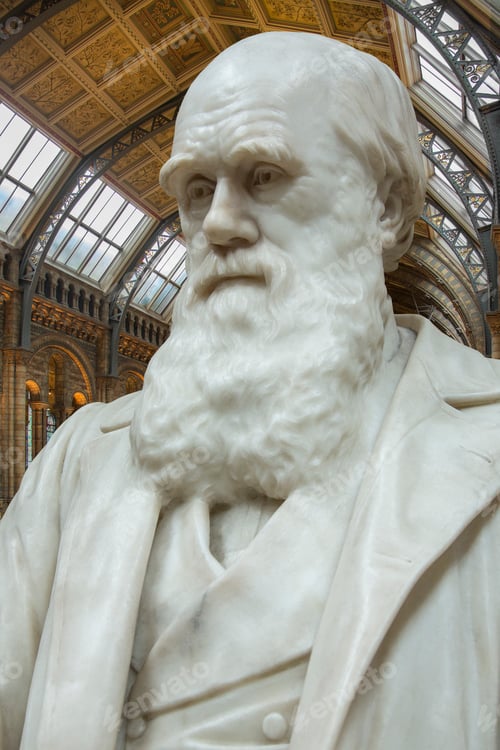 Preview: Charles Darwin - Natural History Museum - London