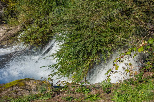 Preview: Closeup Shot Of A Section Of Tumwater Falls With Bushes Hanging Over The Water.