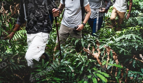Preview: Trekking in a forest