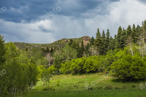 Preview: mountain meadow and forest with rain clouds