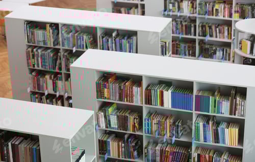 Preview: Above view of shelving units with books in library