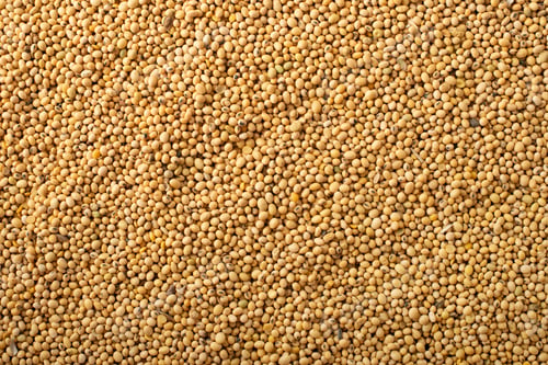 Preview: Dry uncoocked Soybeans background flat lay view