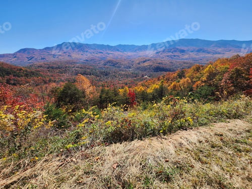 Preview: a view of mountains from the top of a hill with yellow flowers in the fore