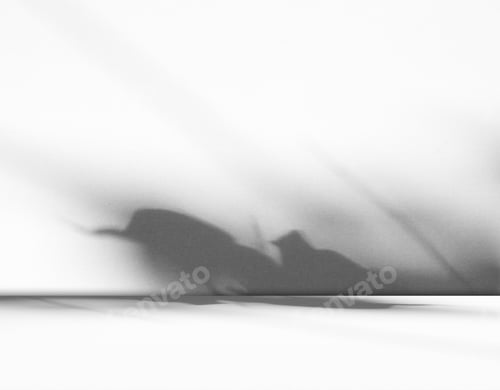 Vista previa: Grey wall shadow background