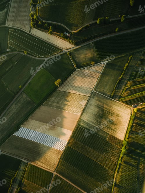 Preview: aerial view of agro fields in summer, europe