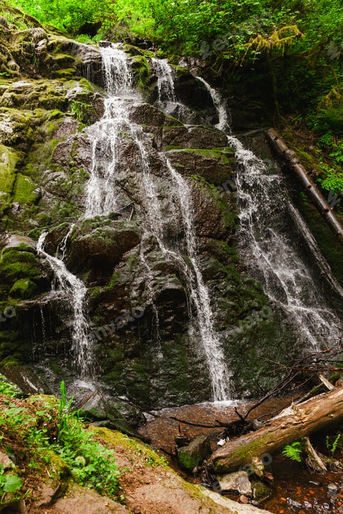 Preview: Beauty of Woodburn Falls in Lacamas Park in Summer