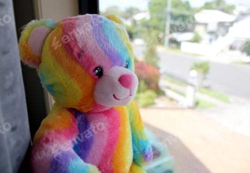 Preview: Rainbow teddy bear in the window