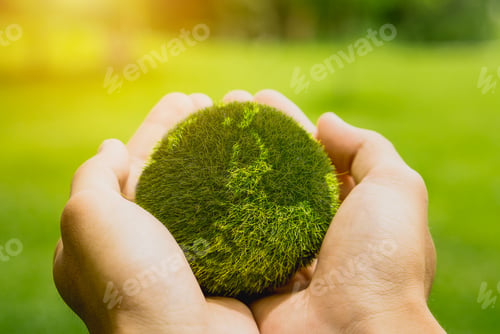Preview: earth in hands. save of earth.World environment day and sustainable environment concept