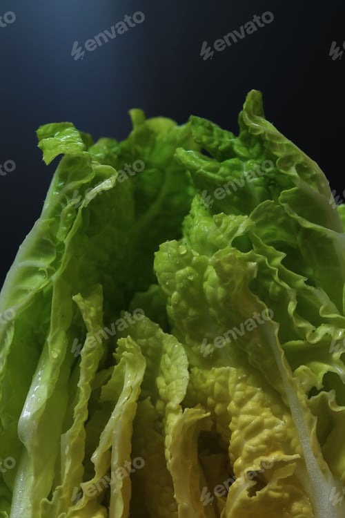 Preview: Inside cabbage