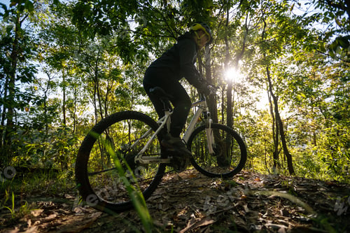 Preview: Mountain biking in spring forest