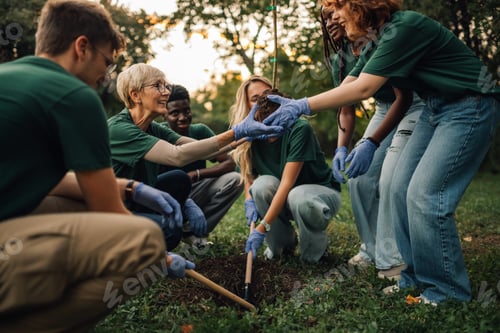 Preview: Group of volunteers planting a tree in the park