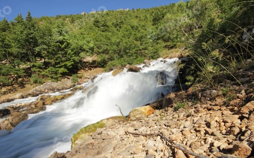 Preview: Beautiful waterfall in green forest