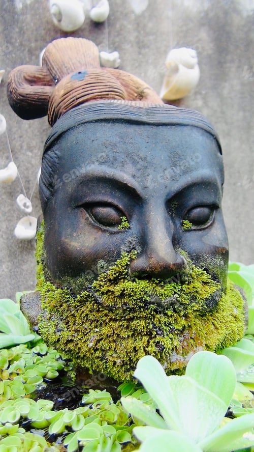 Preview: Close up view of a terracotta bust covered in moss