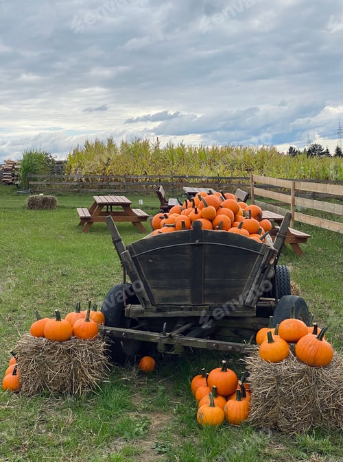 Preview: Autumn