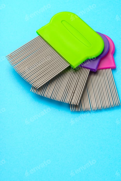 Preview: Comb for lice removing on blue background
