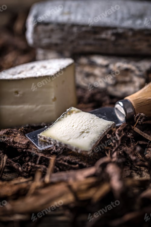 Preview: Brie or camembert