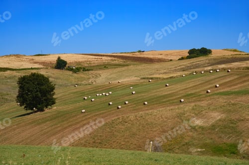 Preview: Country landscape near Tricarico and San Chirico, Basilicata, Italy