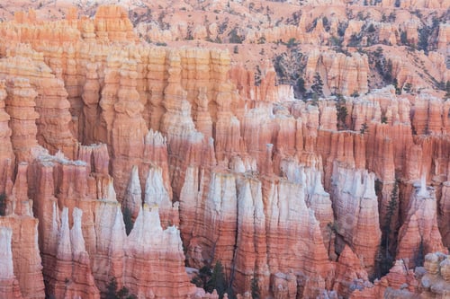 Preview: Bryce