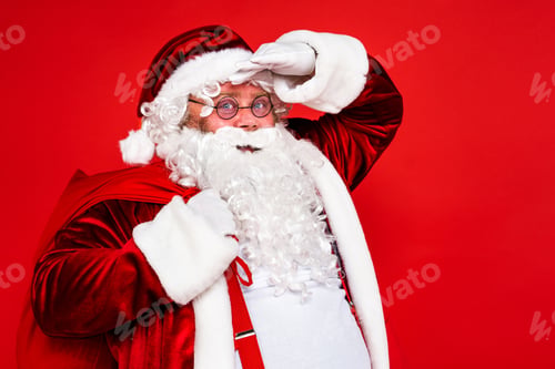 Preview: Funny Santa Claus portrait